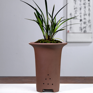 宜兴精品紫砂细高兰花盆买大送小春兰蕙兰老桩多肉透气多孔直销价