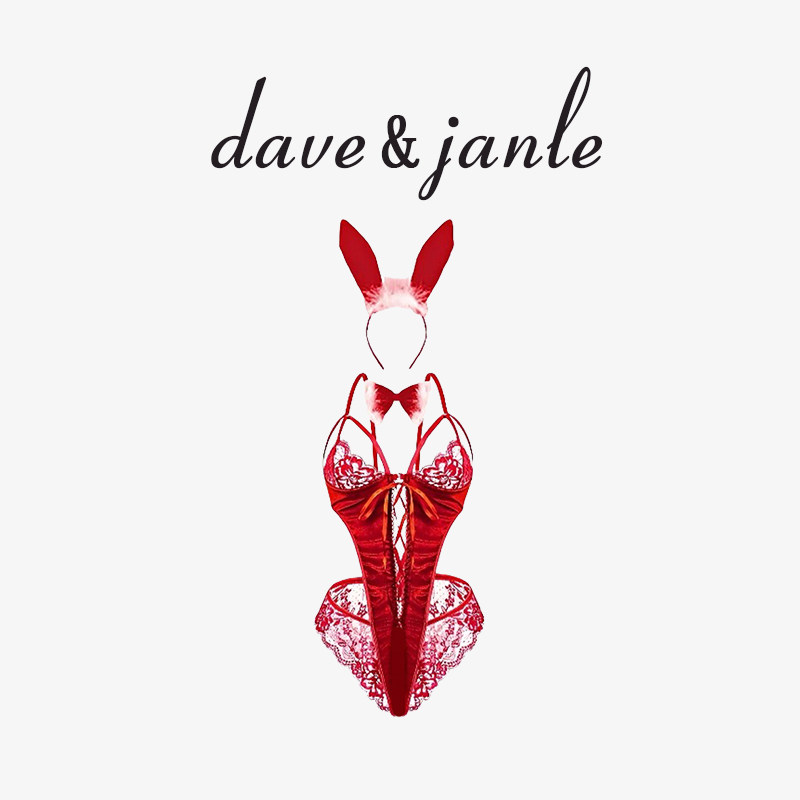 英国 Dave&Janle 性感睡衣镂空蕾丝兔女郎聚拢内衣连体吊带礼盒装