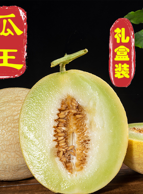 戈壁白兰瓜礼盒精选特级大瓜王兰州白兰瓜银蒂蜜瓜旱地网纹瓜送礼