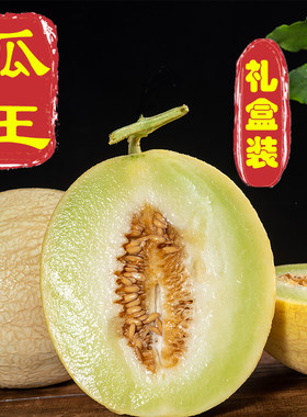 戈壁白兰瓜礼盒精选特级大瓜王兰州白兰瓜银蒂蜜瓜旱地网纹瓜送礼