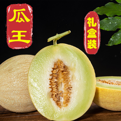 戈壁白兰瓜礼盒精选特级大瓜王兰州白兰瓜银蒂蜜瓜旱地网纹瓜送礼