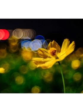 【议价产品】改口服务改泡泡镜鱼鳞焦外,柯尼卡C35 pop富士datea