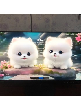 【议价产品】联想 L12364A 23英寸TN面板显示器 成色如图询价