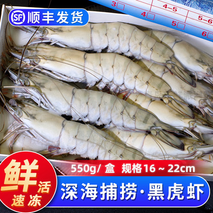 黑虎虾鲜活超大速冻商用大虾青岛新鲜海鲜水产深海捕捞活冻黑金刚