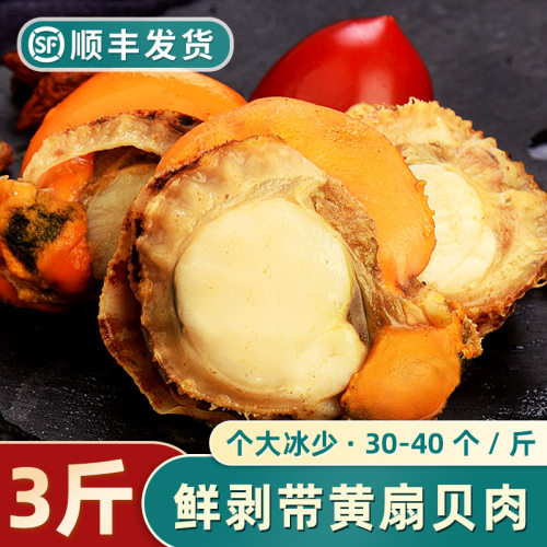 扇贝肉鲜剥冷冻麻辣烧烤商用食材