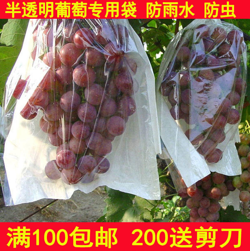 智能日光葡萄袋子水果塑料
