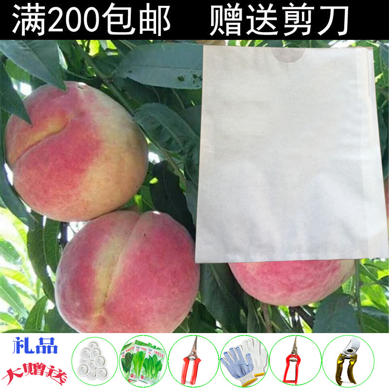 白色套袋枇杷柑橘葡萄水果包邮