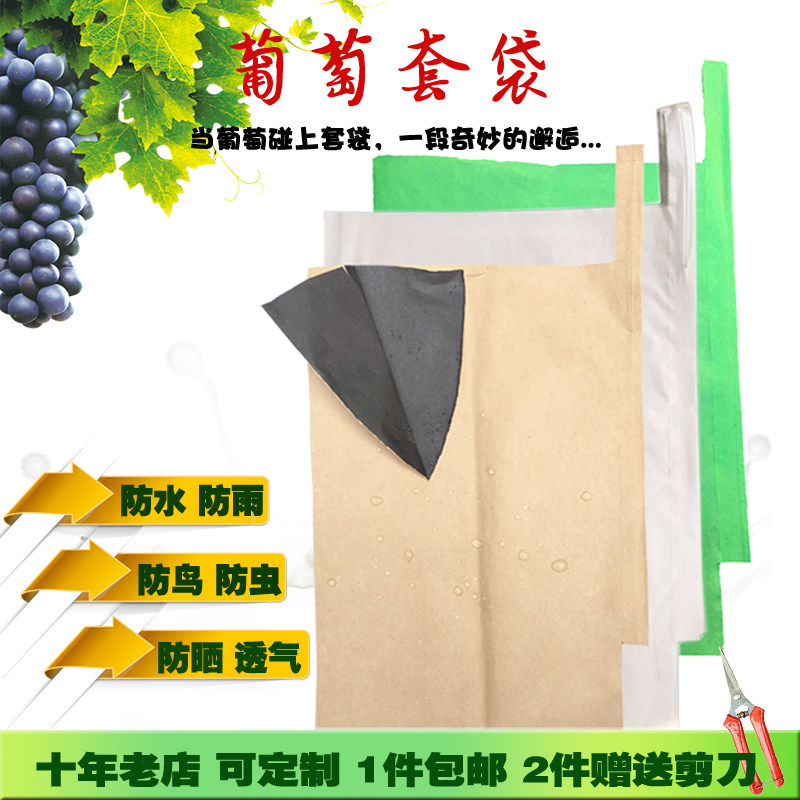 白色葡萄套袋防雨莲雾半透明露天