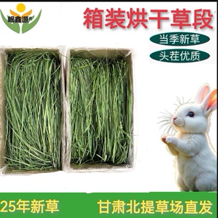 岷鑫源25年提摩西新草烘干箱装 提草兔子1kg荷兰猪宠物兔兔箱装