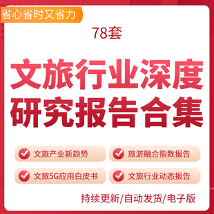 文旅行业深度研究报告合集2017——2021文旅研究报告文旅深度研究