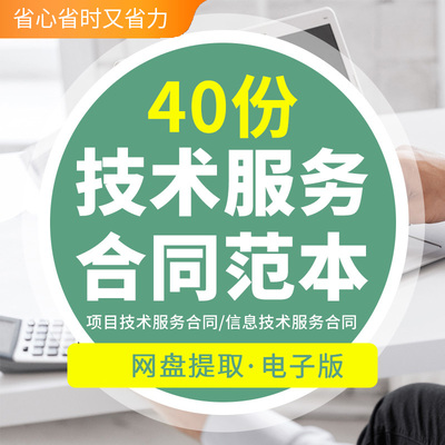 互联网络科技公司软件外包网站建设项目技术咨询服务合同范本模板