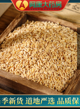 惠隆 正宗浮小麦500g(统)浮水麦浮麦中药饮片正品中药材安徽淮南