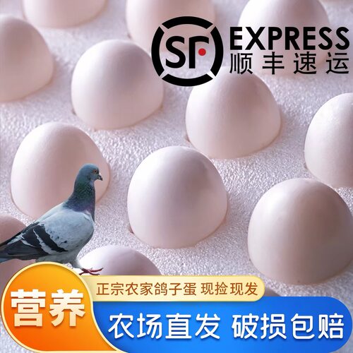 农家散养新鲜鸽子蛋30枚孕妇宝宝辅食五谷杂粮喂养白鸽蛋非鹌鹑蛋