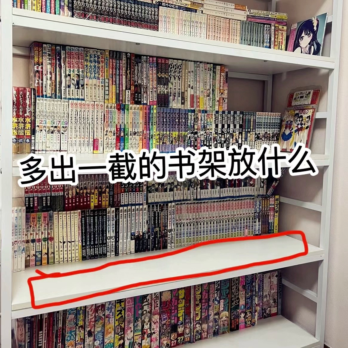书本整理分隔板书立文化创意餐具