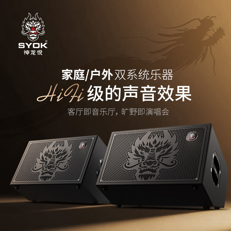 神龙音箱S10大功率户外路演音箱专业乐器弹唱无线直播音箱舞台