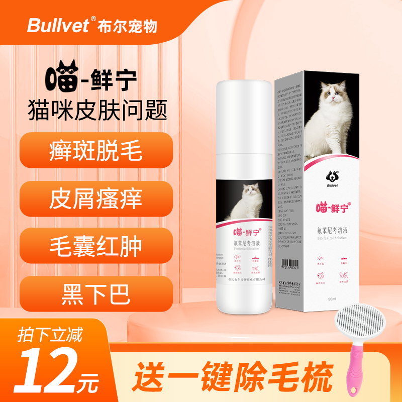 布尔猫咪猫藓皮肤病真菌皮屑掉毛