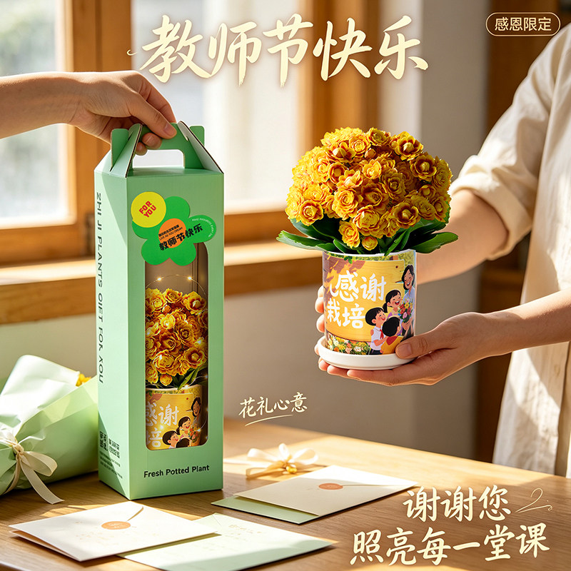 长寿花盆栽创意鲜花礼物教师节送老师办公室桌面绿植阳台四季花卉
