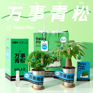 万事青松雾凇植物办公室桌面绿植盆栽工位摆件解压生日毕业礼物男