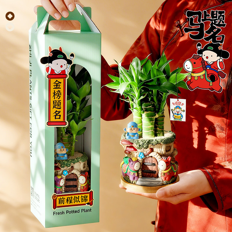 文昌竹金榜题名高考书桌绿植送礼图片