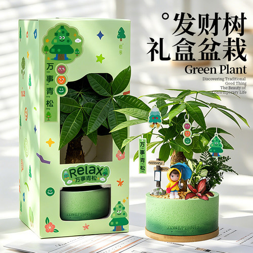 发财树盆栽桌面装饰摆件生日礼物