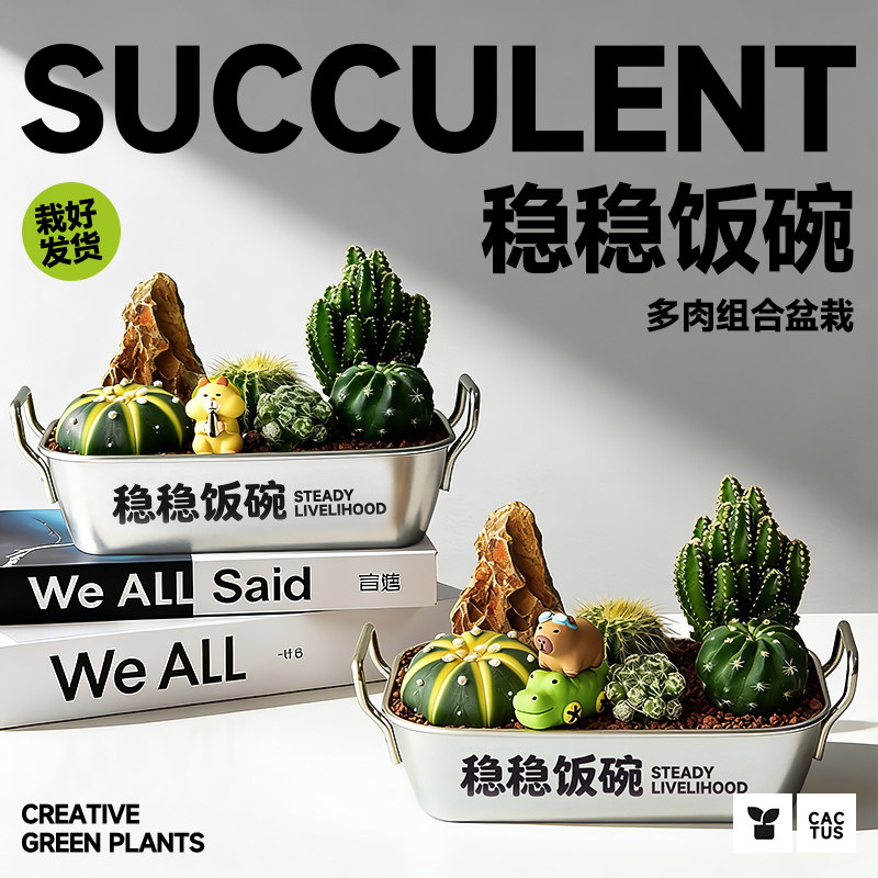 铁饭碗盆栽工位创意植物办公室桌面绿植小多肉仙人掌生日礼物摆件
