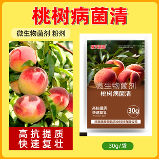 桃树病菌清流胶病炭疽病白粉病花叶病杀菌剂果树流胶穿孔病通用