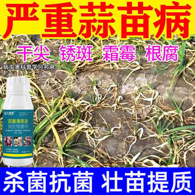 蒜菌清原液大蒜专用药根腐病叶枯病锈病紫斑病干尖黄叶微生物菌剂