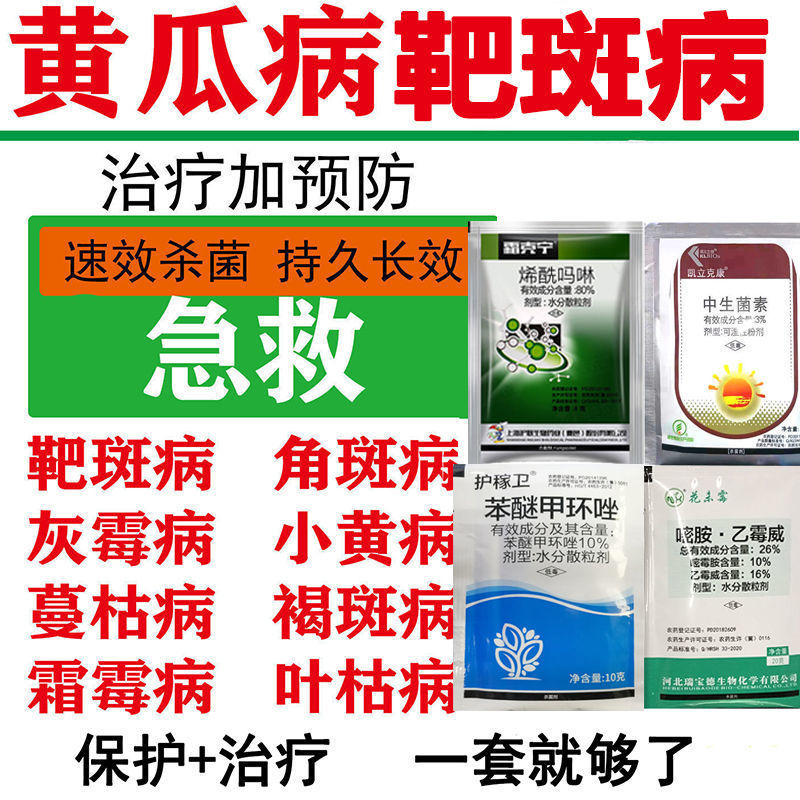 黄瓜病全治黄瓜专用肥靶斑病小黄点角斑病霜霉病疫病灰霉病专用药