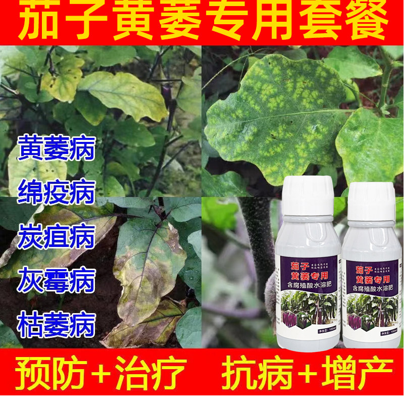 茄子杀菌剂茄子专用药茄子病全治炭疽病枯萎病绵疫病菌核病专用药
