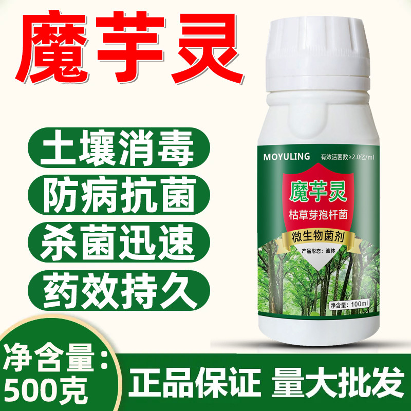 魔芋杀菌剂春雷霉素软腐病根腐病枯萎病炭疽病褐斑病轮纹病专用药