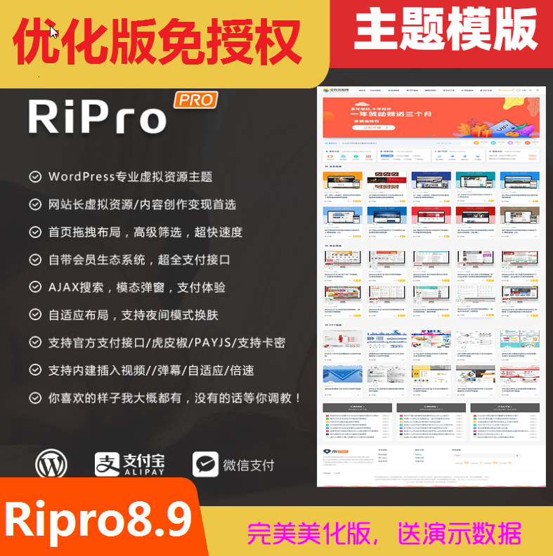 Wordpress主题 Ripro9.0日主题无加密修复版资源下载知识付费主题