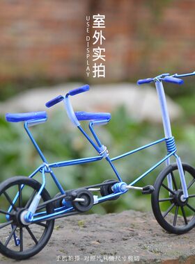 彩色个性铝丝铝线单车DIY手工艺品双人双座礼品手工摆件模型