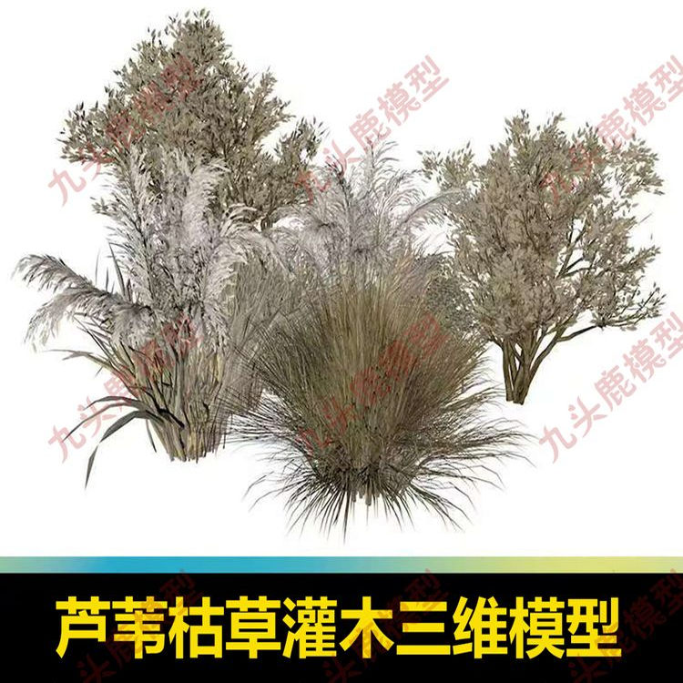 3D芦苇蒲苇灌木枯草植物三维模型素材C4D FBX STL OBJ SU Blender