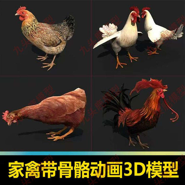 家禽大公鸡母鸡动画带骨骼绑定动画三维模型C4D FBX OBJ STL素材
