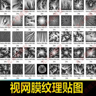 C4D视网膜创意抽象灰度神经纤维2K纹理JPG贴图渲染设计素材资源