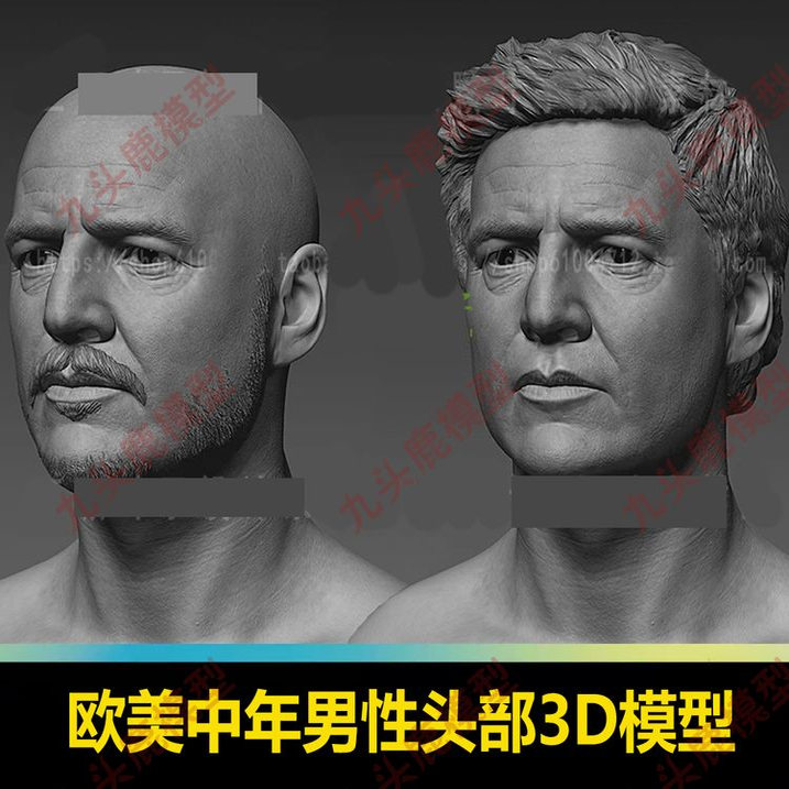 zbrush欧美中年男性头部五官头发胡子3D模型雕塑zb角色雕刻素材