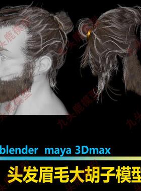 3d c4d插片式头发眉毛大胡子卷发盘发束发模型素材fbx建模obj ue