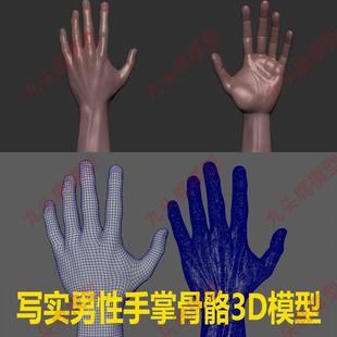 写实人物人体部件器官骨骼男性手掌手部三维3D模型c4d obj