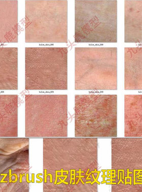 zbrush人物表皮图皮肤纹理素材alpha Texture贴图