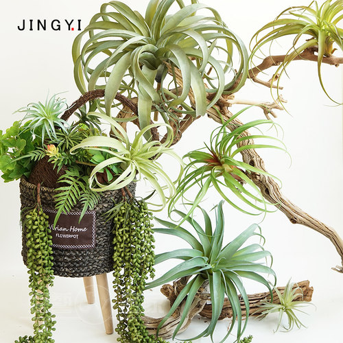 多肉空气凤梨老人须北欧风仿真花
