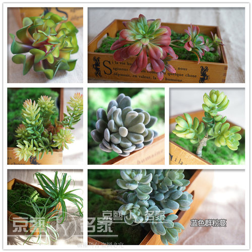 仿真多肉植物盆栽田园简约