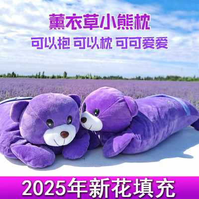 儿童女性薰衣草可爱玩偶枕头