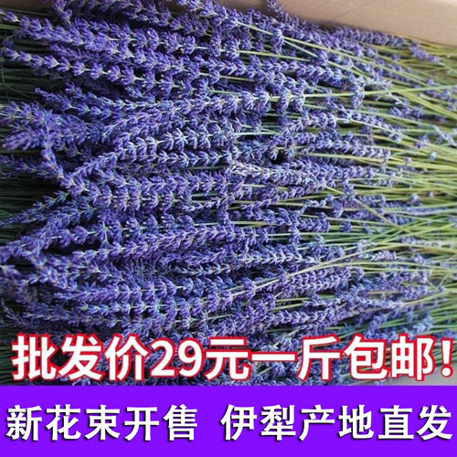 新疆薰衣草花束特产包邮