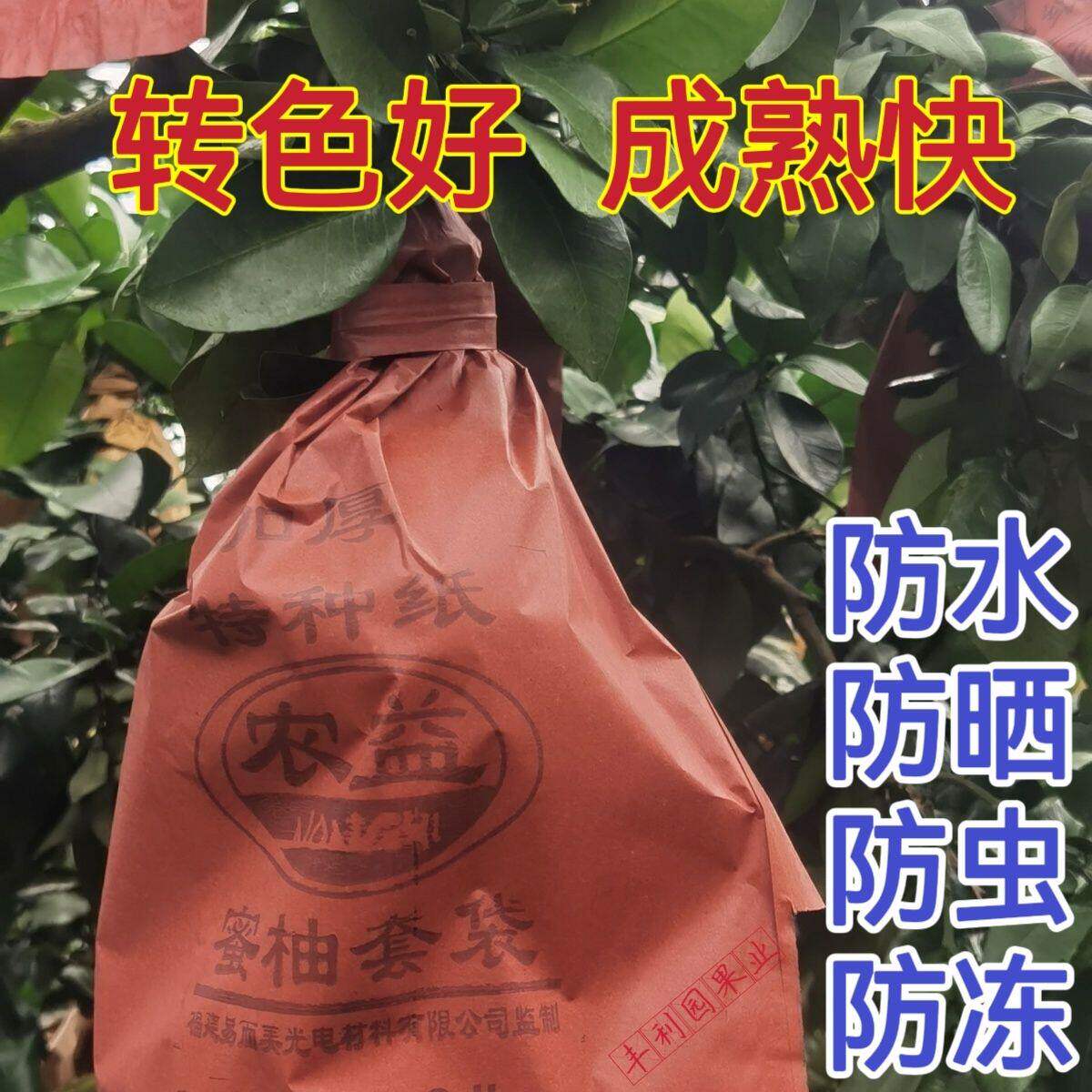 柚子套袋防虫防鸟芒果桃子梨育果保护袋子早熟蜜柚专用防雨水果袋