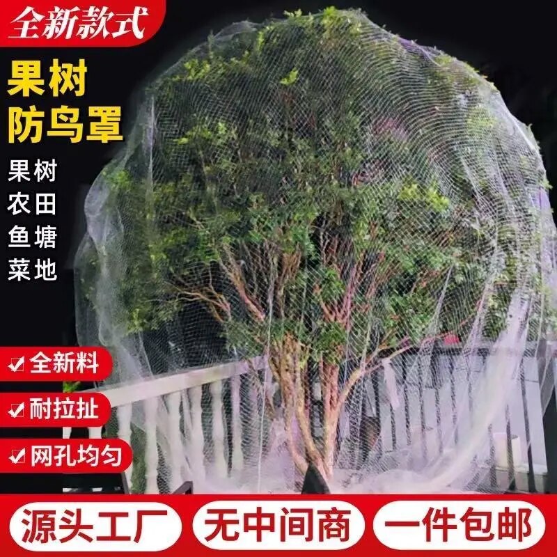 单株果树防鸟罩果园嘉宝果樱桃蓝莓无花果枇杷树大棚防鸟偷吃网纱