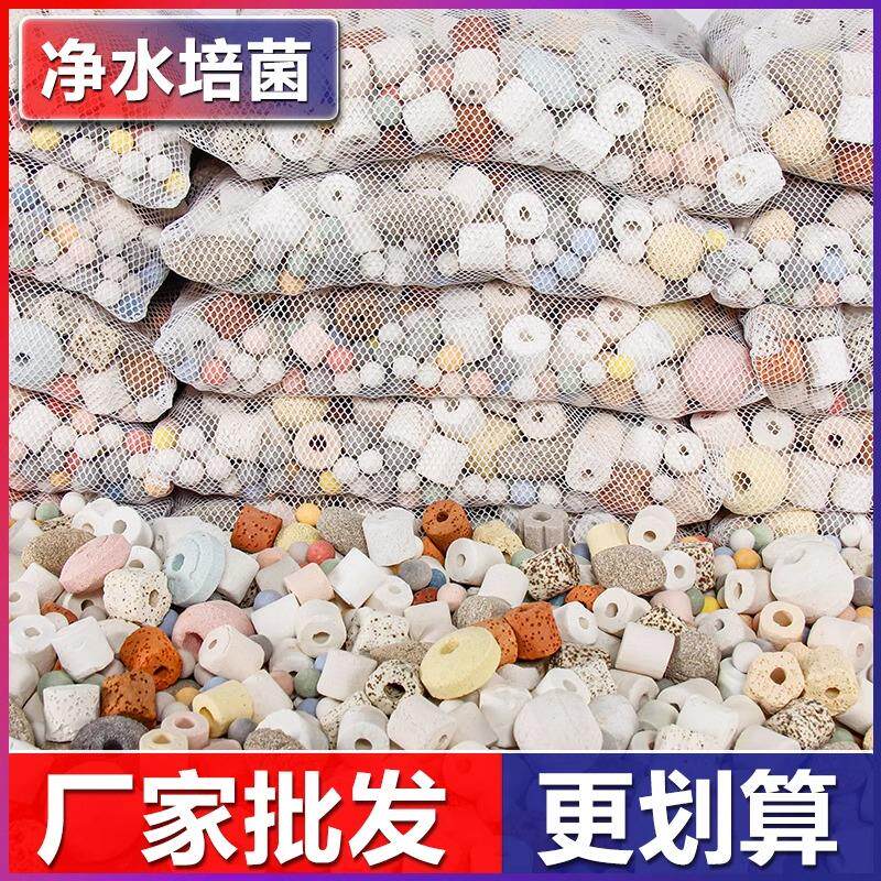 鱼缸培养硝化细菌活性炭珊瑚