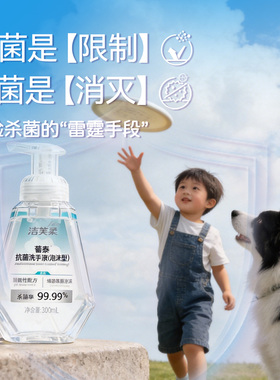 【新品】葡泰洁芙柔3h长效抗菌泡沫洗手液医护抑菌杀菌家用消毒