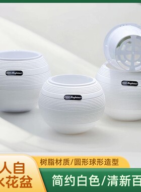懒人桌面塑料树脂球形花盆自动吸水简约免浇水球型水培圆盆