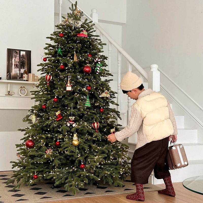 Hromeo全pe落地圣诞树摆件
