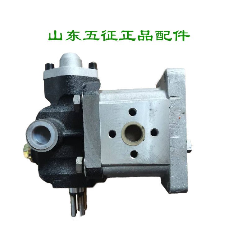 五征三轮车原厂配件奥翔自卸车液压泵齿轮泵自卸车泵翻斗车油顶泵